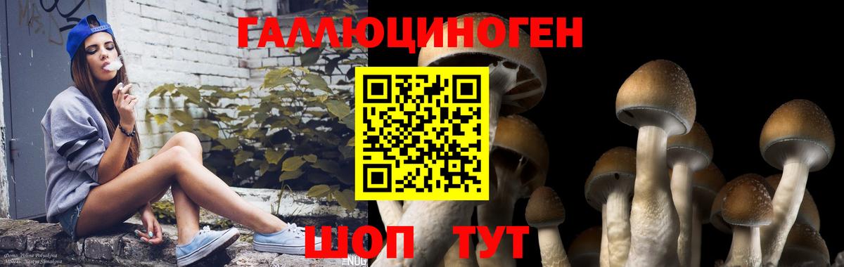 Галлюциногенные грибы Менделеевск